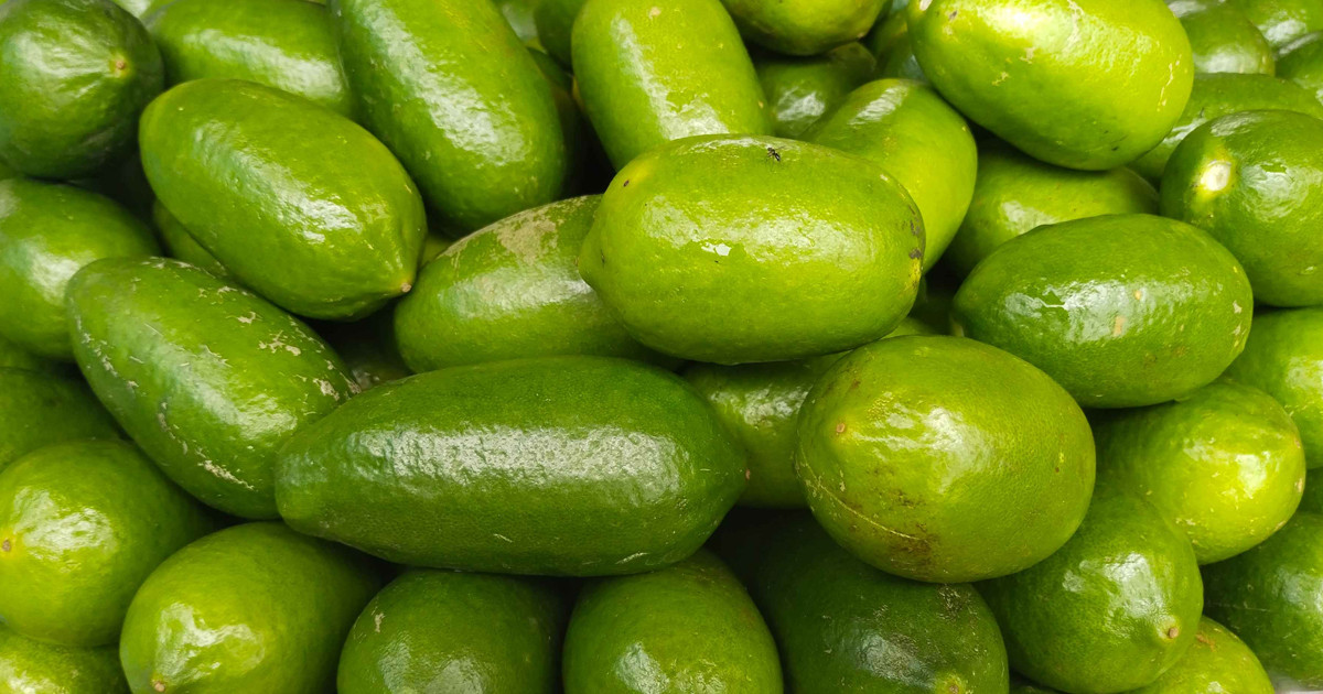 লেবুর দামে আগুন