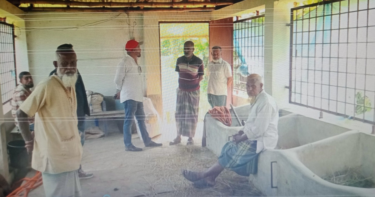 খুলনায় গরু চোর চক্র সক্রিয়, আতঙ্কে খামারিরা