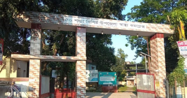 শেরপুরে বিদ্যুৎস্পৃষ্টে ২ কৃষকের মৃত্যু