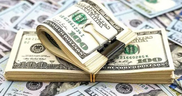 ফেব্রুয়ারির প্রথম ১৬ দিনে প্রবাসী আয় ১৮১ কোটি ডলার