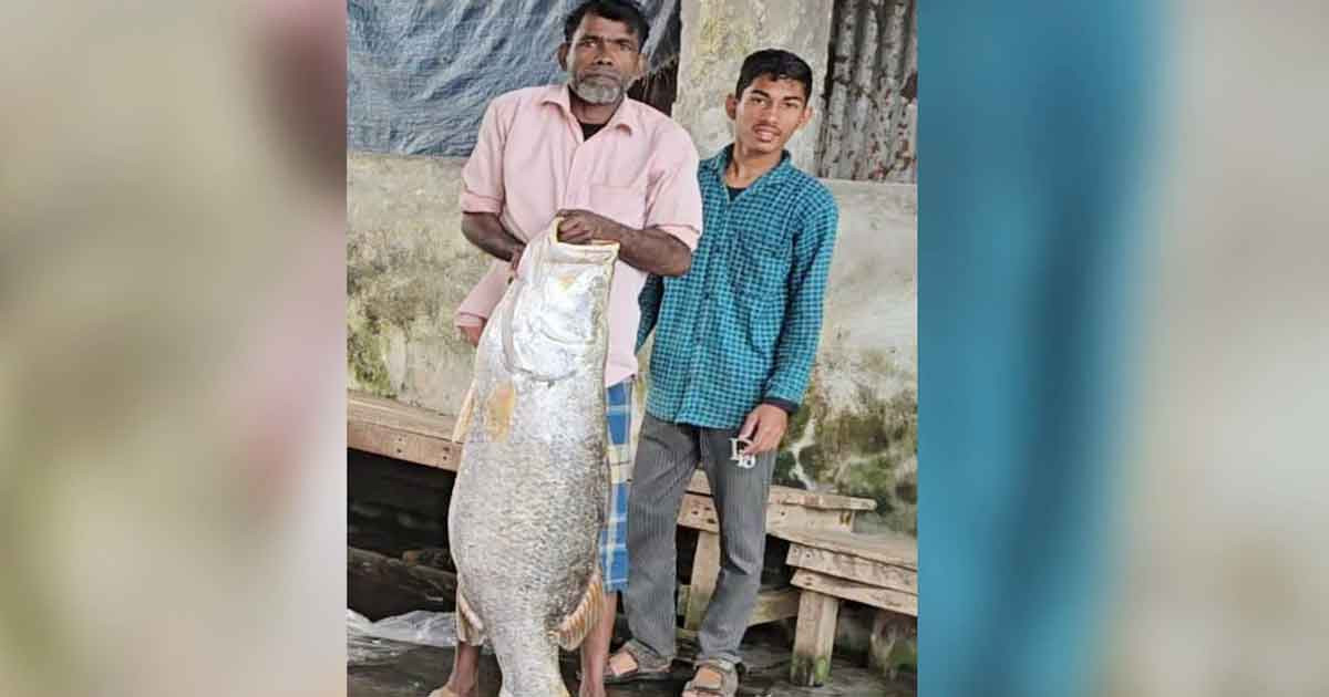 বরগুনায় জেলের জালে সাড়ে ২২ কেজির কোরাল