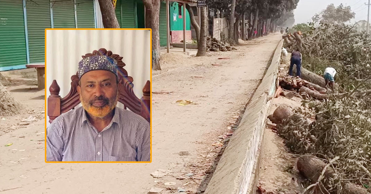 গাড়ি নিয়ে বাড়ি যেতে ২০ গাছ কেটে ফেলা সেই বিএনপি নেতা বহিষ্কার