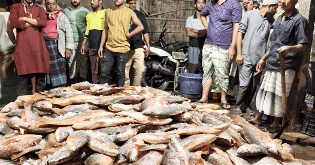 টেকনাফে এক জালে ধরা পড়লো ১২০ মণ কোরাল