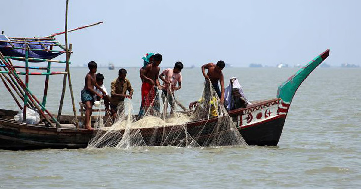 পদ্মা-মেঘনায় দুই মাস ইলিশ ধরা নিষেধ, অমান্য করলেই শাস্তি
