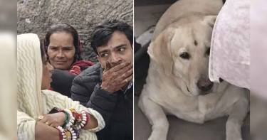 জমকালো বিয়ের অনুষ্ঠান পরিণত হলো রণক্ষেত্রে