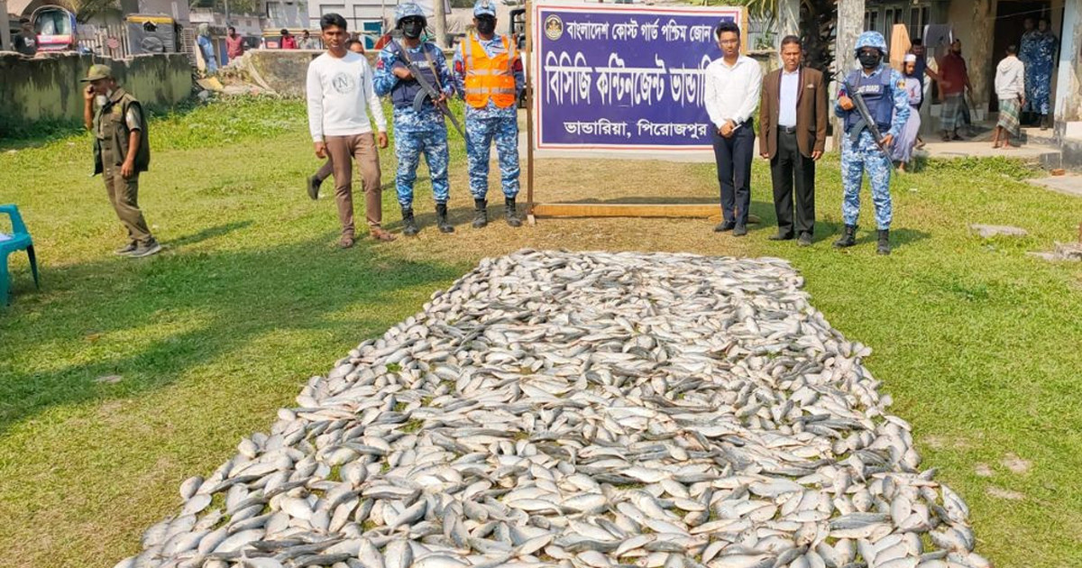পিরোজপুরে ১০ মণ জাটকাসহ দুই ট্রলার জব্দ, ৩ জেলে গ্রেপ্তার