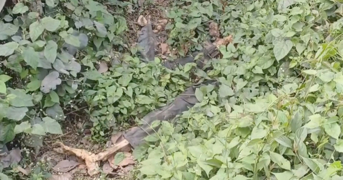 সোনারগাঁওয়ে ডোবার পাশে কঙ্কাল, পাশে পড়ে ছিল প্যান্ট ও টি শার্ট