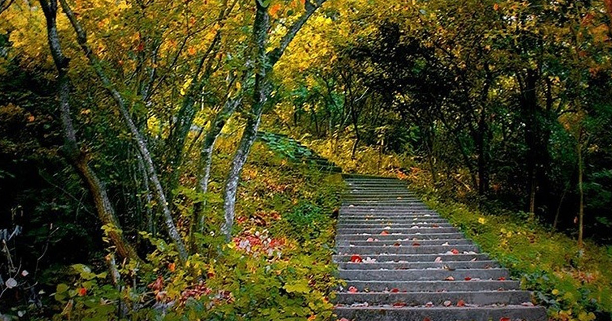 গলাকাটা অবস্থায় জঙ্গলে হাঁটা শিশুটির সঙ্গে কী হয়েছিল? ঘাতকের রোমহর্ষক স্বীকারোক্তি