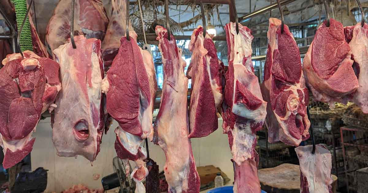 বেশি লাভের আশায় বাজারে মরা গরুর মাংস বিক্রি, অতঃপর…