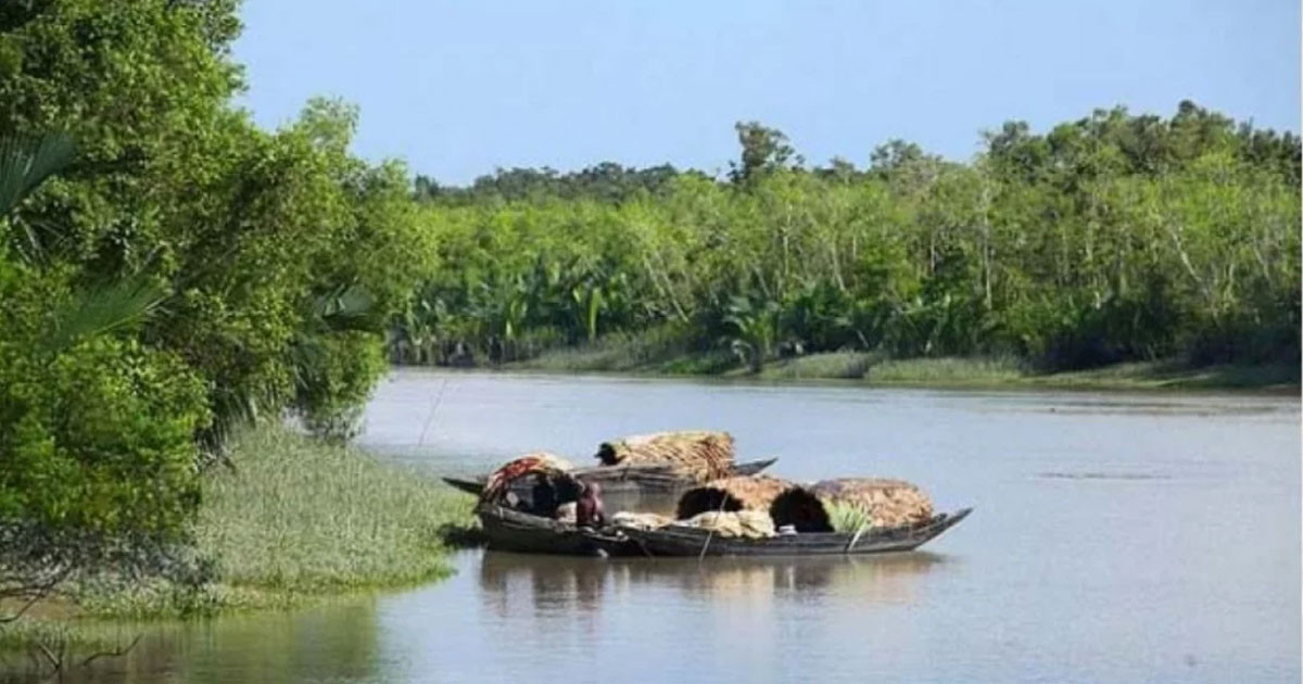 মুক্তিপণ দিয়ে ফিরেছেন সুন্দরবনের ১৪ জেলে