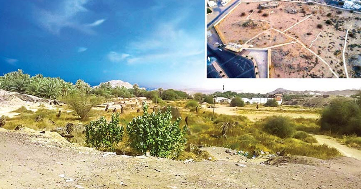 আল কোরআনে বদর যুদ্ধ