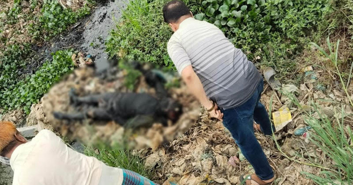 নারায়ণগঞ্জে খালে অজ্ঞাত ব্যক্তির লাশ উদ্ধার