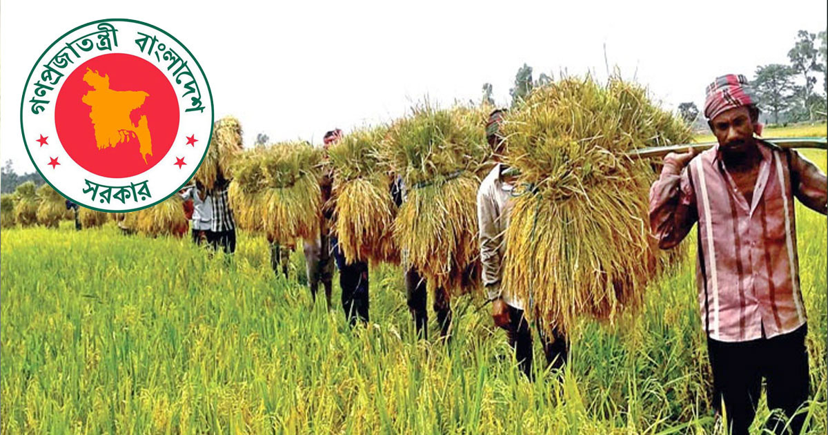 ‘ভূমি ব্যবহার নিয়ন্ত্রণ ও কৃষিভূমি সুরক্ষা অধ্যাদেশ, ২০২৬’ কতটা যুক্তিসঙ্গত?