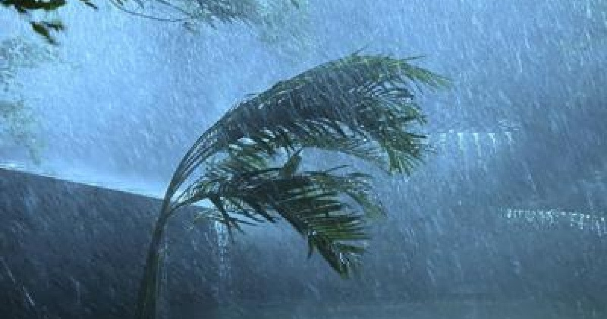 আগামী ৫ দিন বৃষ্টির সম্ভাবনা