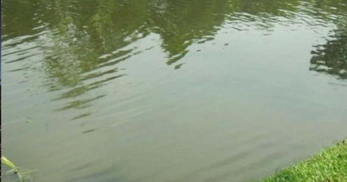 পুকুর সেচতে গিয়ে মিলল অর্ধগলিত অজ্ঞাত লাশ