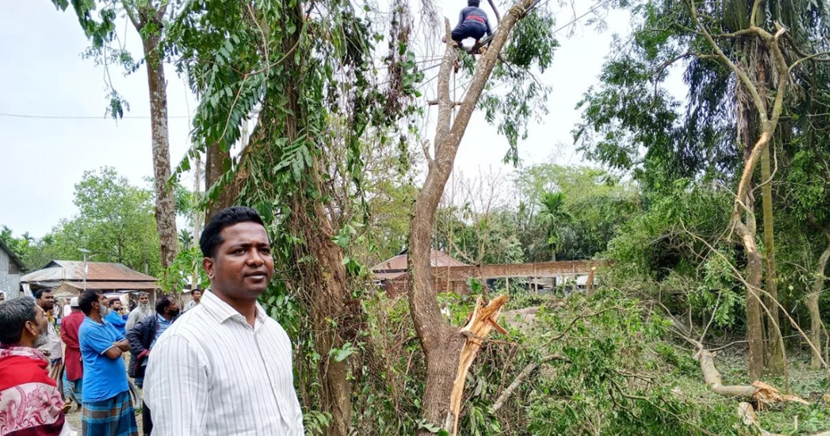 হালুয়াঘাটে ঝড়ে বিদ্যুৎ বিভ্রাট, পল্লী বিদ্যুৎ আংশিক সচল