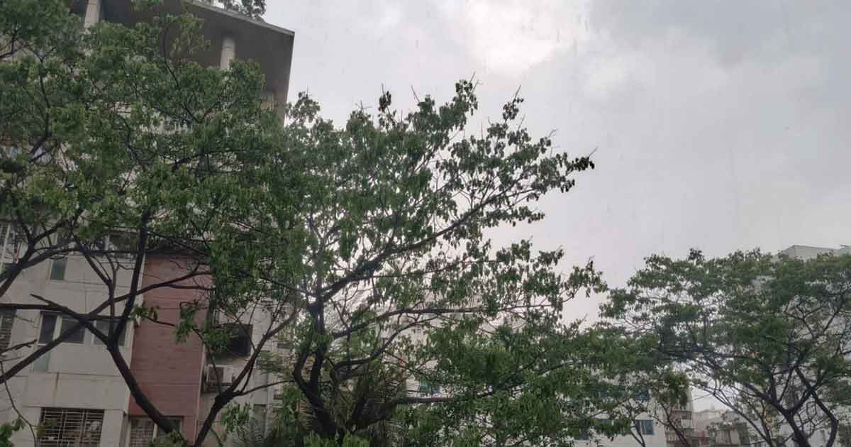 পবিত্র জুমাতুল বিদায় বৃষ্টিতে ভিজল রাজধানী