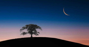 ঈদে নতুন চাঁদ দেখে যে দোয়া পড়তেন মহানবী (সা.)