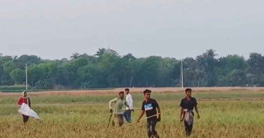 বোতলের ক্যাপ ছোড়া নিয়ে সংঘর্ষ, গুলিবিদ্ধ ৭