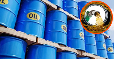 জ্বালানি সংকটে বিশ্ব: ১৯৭০-এর দশকের চেয়েও ভয়াবহ পরিস্থিতির আশঙ্কা আইইএ-র