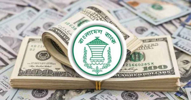 ২৩ দিনেই দেশে এলো ২৮২ কোটি ডলারের রেমিট্যান্স