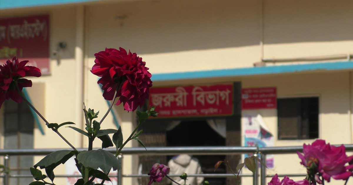 নড়াইলে ১০ বছরের কিশোরী ধর্ষণের শিকার