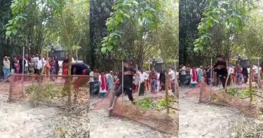 বাবার কবর ভাঙচুর ছেলের, ভিডিও ভাইরাল