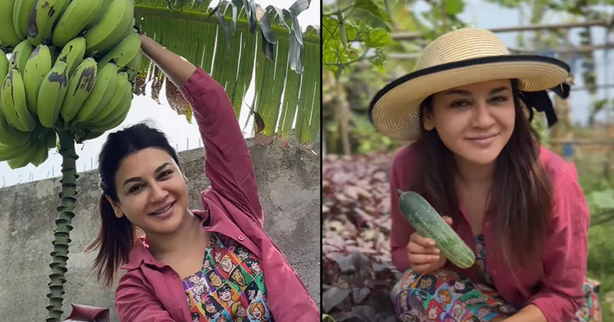 সবজি চাষে জয়ার বাম্পার ফলন