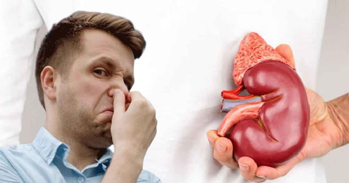 যে ৫টি প্রাথমিক লক্ষণে বুঝবেন কিডনি নষ্ট হচ্ছে