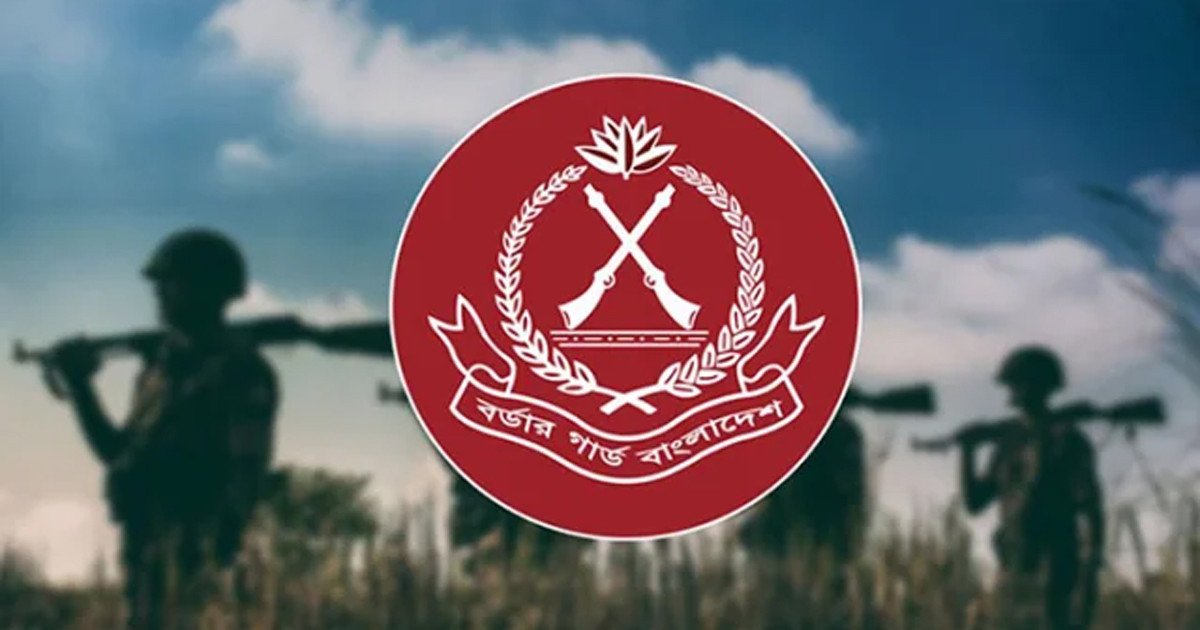 সিপাহী পদে জনবল নেবে বিজিবি, আবেদন ফি ৫৬ টাকা