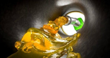 পেট্রল রপ্তানি বন্ধ করতে যাচ্ছে রাশিয়া, কেন?