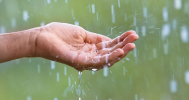 আজ কোথায়-কেমন বৃষ্টি, জানাল আবহাওয়া অফিস