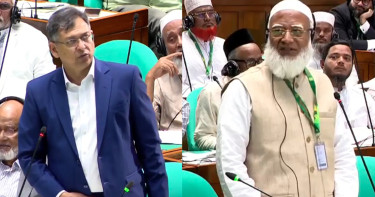 সংবিধান সংস্কার পরিষদ বিষয়ে নোটিশ উত্থাপন, সংসদে বাগবিতণ্ডা