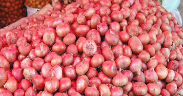 উৎপাদন বেশি, দাম কম—পেঁয়াজ চাষে লোকসানে কৃষক
