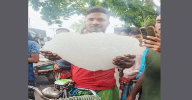 ফসলি মাঠে বিশালাকৃতির শিলা, এলাকায় চাঞ্চল্য