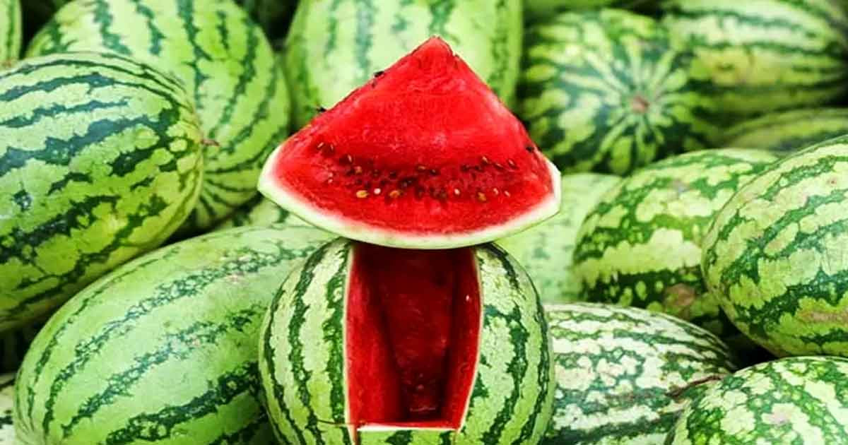 ভুলেও যারা তরমুজ খাবেন না