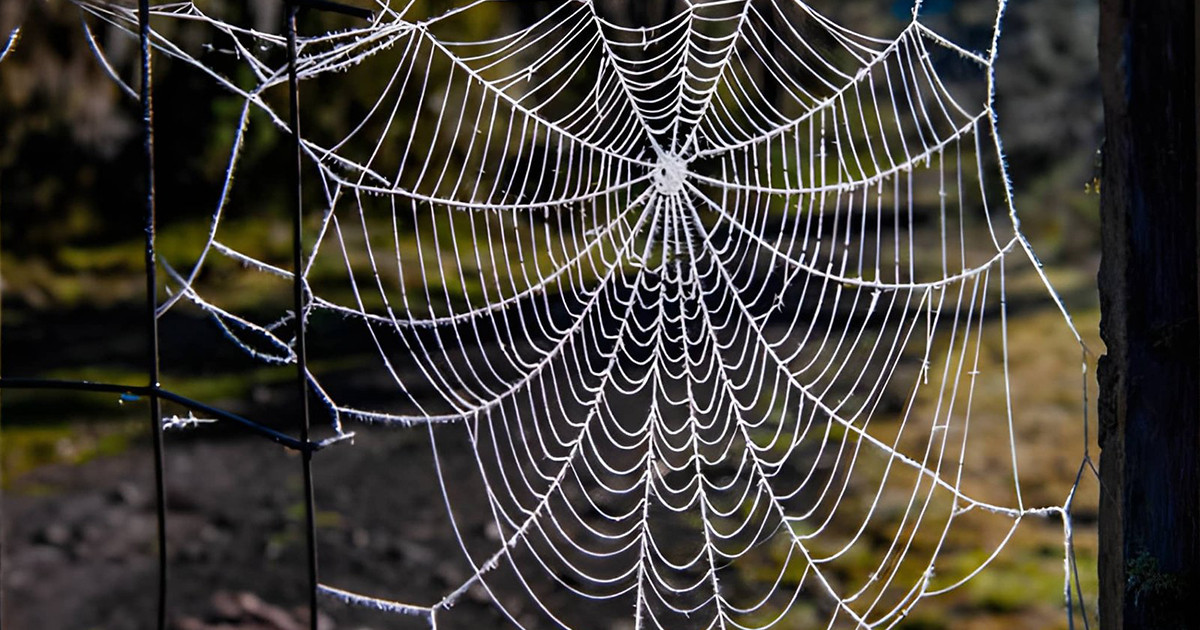 ফিতনার সময় ঈমান রক্ষা উপায়