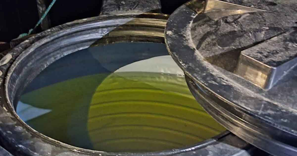 ছাদের পানির ট্যাংকে মিললো ৭৫০ লিটার ডিজেল, নিলামে বিক্রি