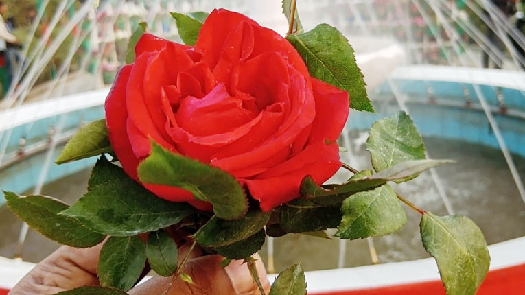 বসন্তের ছুটিতে শিক্ষার্থীদের প্রেম করার আহ্বান জানাল চীনা বিশ্ববিদ্যালয়