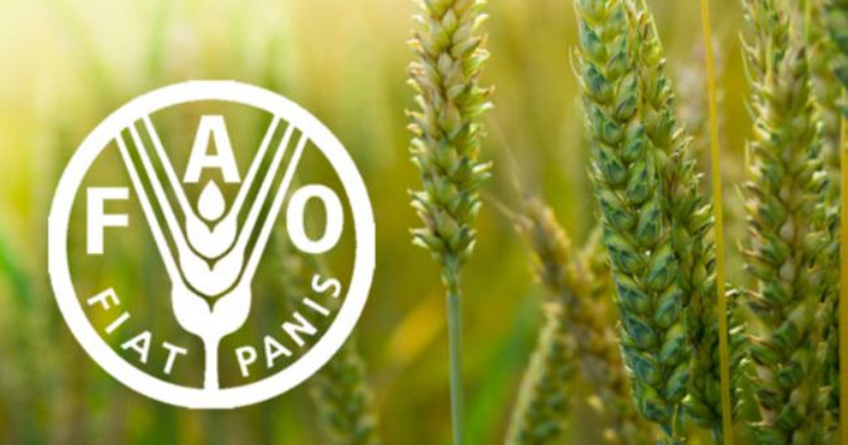 জ্বালানি ব্যয়ের প্রভাবে বৈশ্বিক খাদ্যমূল্য বাড়ল ২.৪ শতাংশ