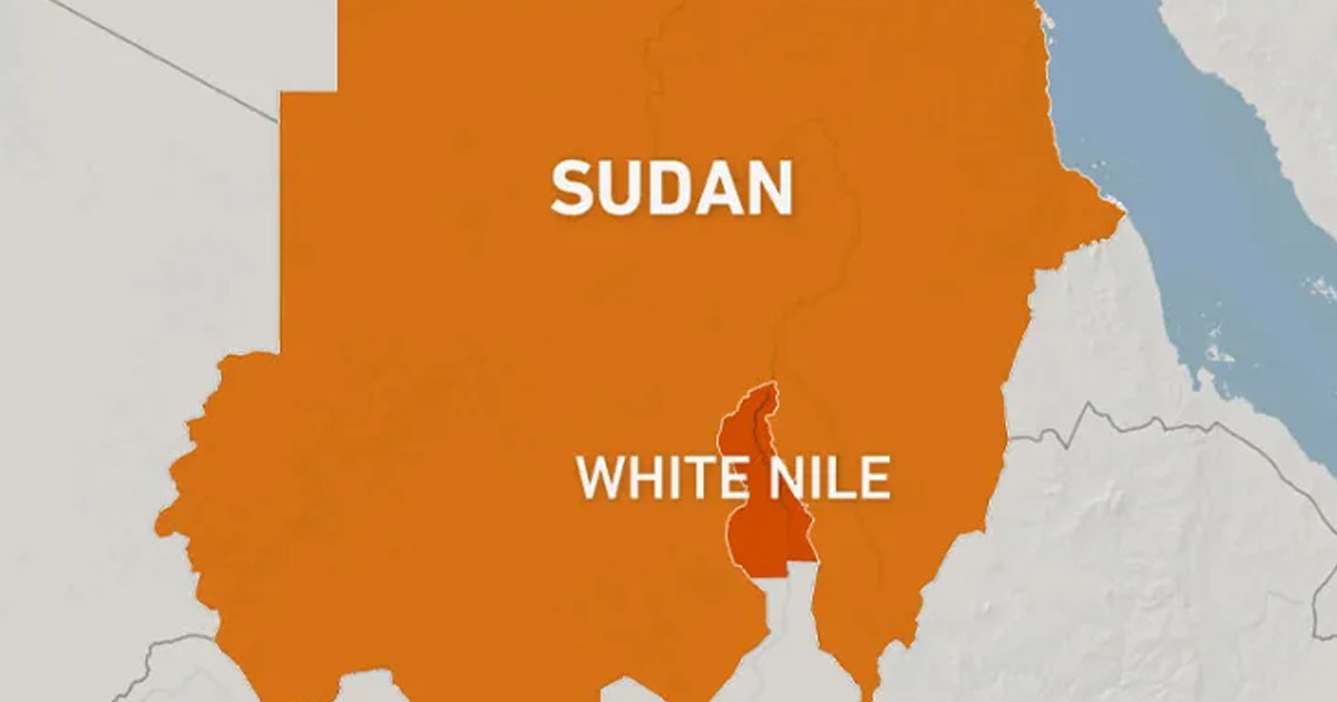 সুদানের হাসপাতালে ড্রোন হামলায় নিহত ১০