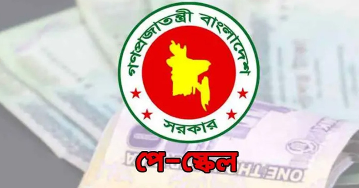 পে-স্কেল বাস্তবায়নের দাবিতে প্রধানমন্ত্রীর কাছে স্মারকলিপিতে যা আছে