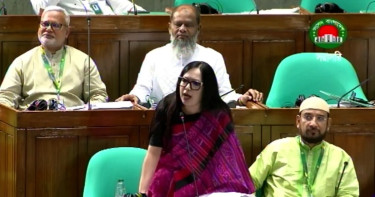 রাষ্ট্রপতি ও প্রধানমন্ত্রীর ক্ষমতার ভারসাম্য চাইলেন রুমিন ফারহানা