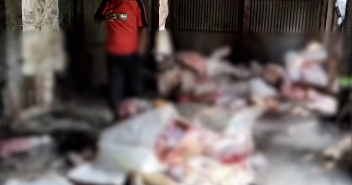 মুন্সিগঞ্জে পরিত্যক্ত বাড়ি থেকে ১৩টি জবাই করা ঘোড়া উদ্ধার