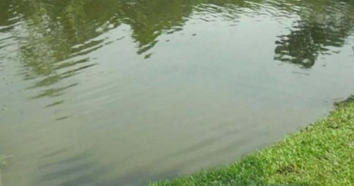 কুমিল্লায় পুকুরে ডুবে প্রাণ গেল ২ শিশুর