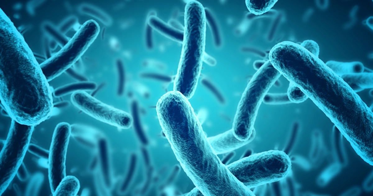 বদলে যাচ্ছে ব্যাকটেরিয়ার আচরণ