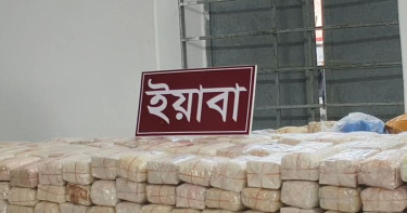 টেকনাফে ২৫ কোটি টাকার ইয়াবা উদ্ধার