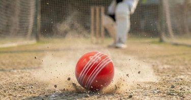 আম্পায়ারকে মারলে শাস্তি কী? প্রশ্নের পরই নিষিদ্ধ ক্রিকেটার