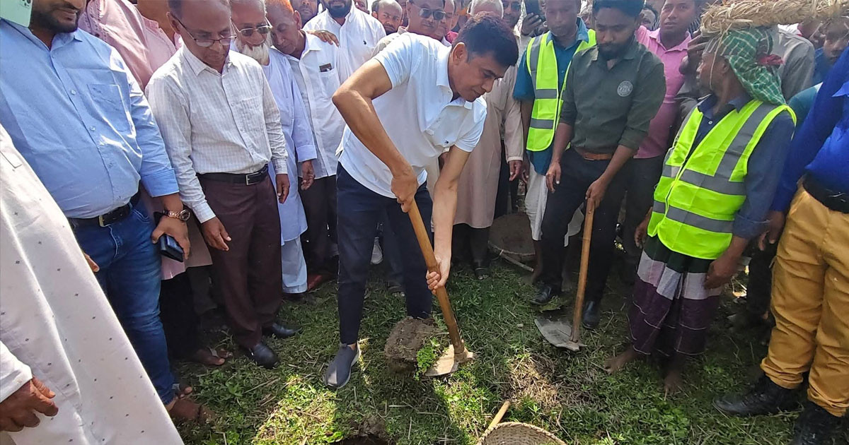 ইউক্যালিপ্টাস গাছ লাগাবেন না