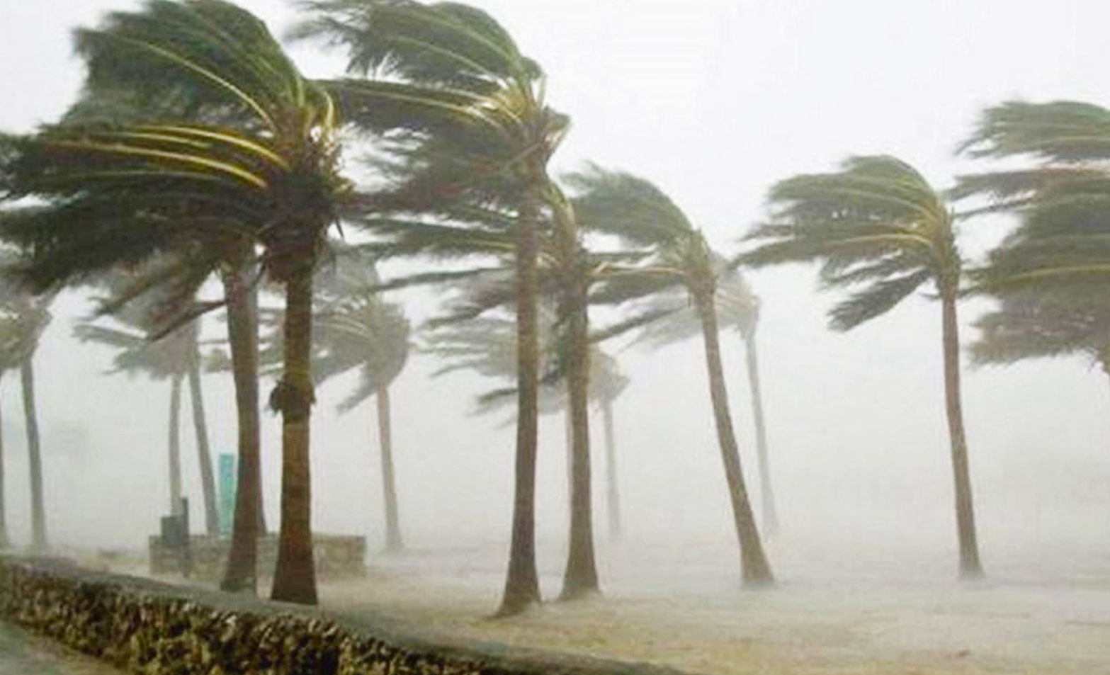 ৩ অঞ্চলে ৬০ কিমি বেগে ঝোড়ো হাওয়াসহ বৃষ্টির সম্ভাবনা